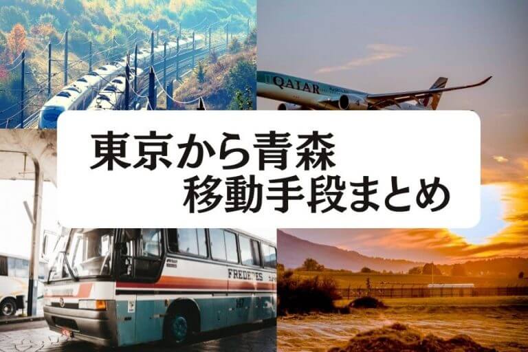 22年版 東京から青森の移動手段まとめ 飛行機 新幹線の値段と所要時間を徹底比較 移動手段比較 Com移動手段比較 Com