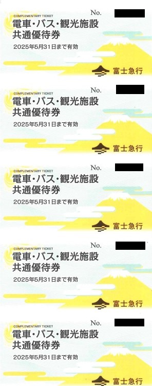 富士急ハイランド・フリーパス（富士急行共通株主優待券 5枚セット）≪～2025/5/31まで≫ / 金券ショップ アクセスチケット